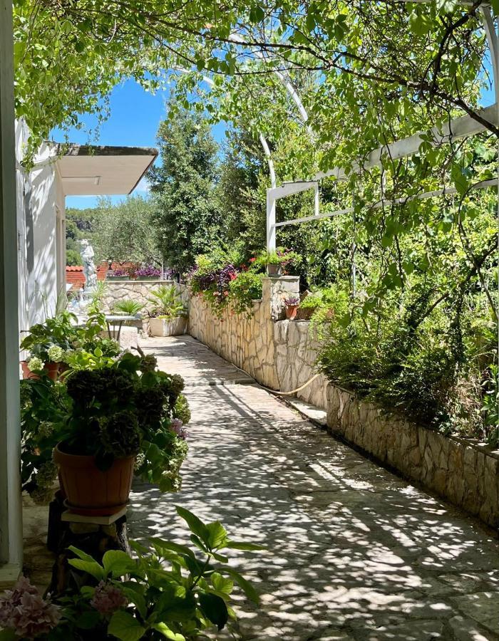 Apartment With Swimming Pool Jelsa  Exteriér fotografie